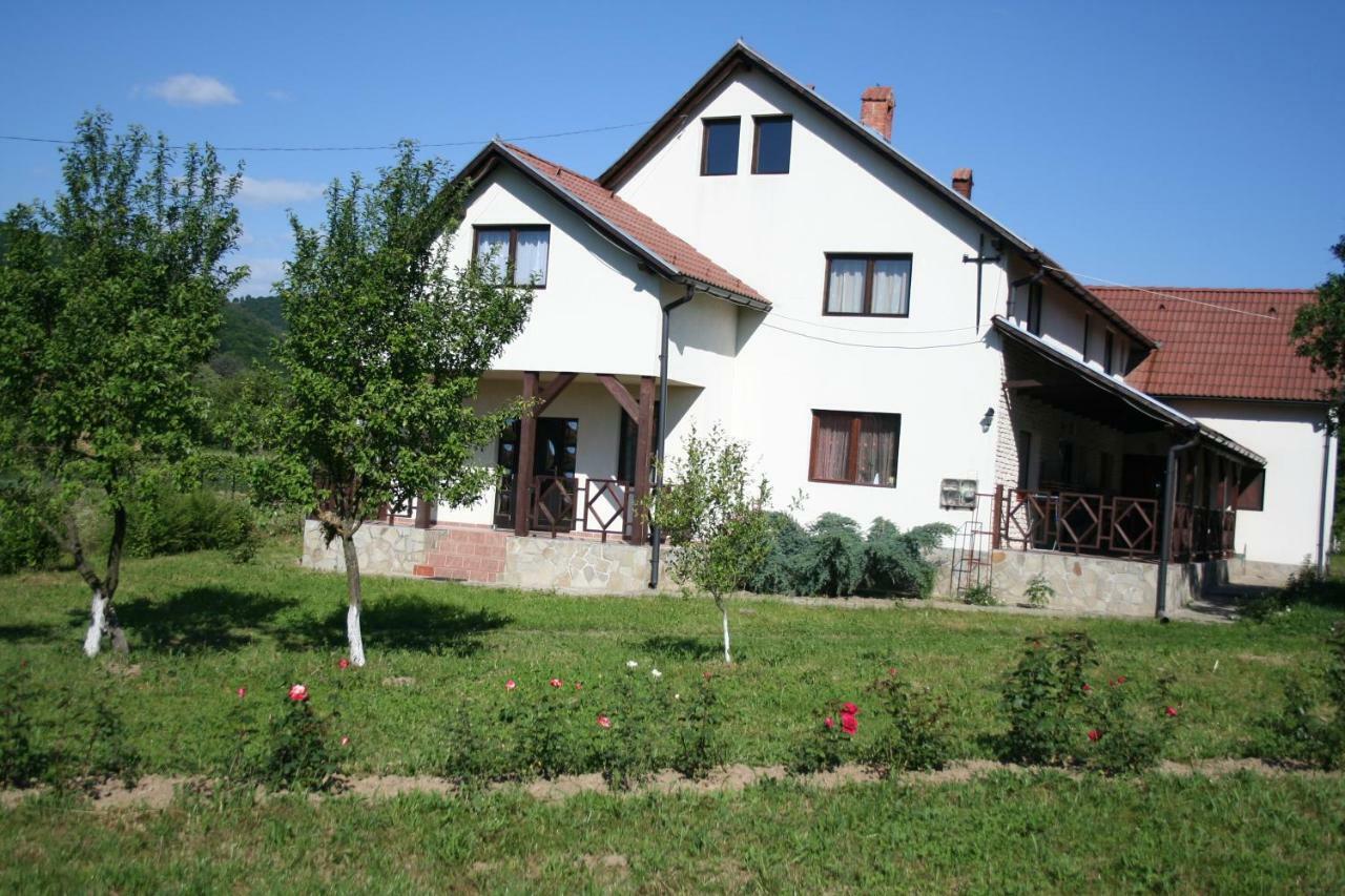 Dobarlica Guest House Dobirlau Exterior photo